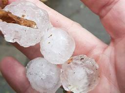 Flinke hagelstenen in Etten-Leur. (Foto: Anika van Rijthoven)