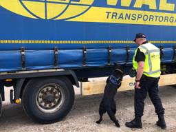 Een politiespeurhond bij een vrachtwagen (Foto: René van Hoof)