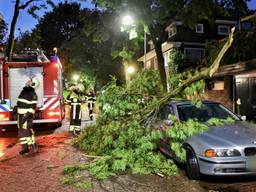 In de Armhoefstraat in Tilburg viel een dikke tak op een BMW. (Foto: Toby de Kort)