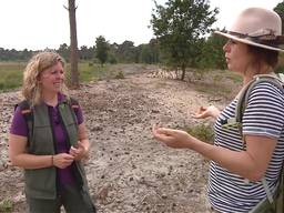 Maud in gesprek met boswachter Janneke.