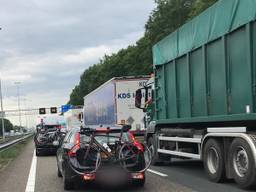 File op de A58 (foto: Marjanka Meeuwissen)