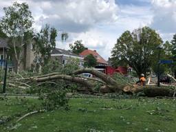 Stormschade in Eindhoven (Archieffoto: René van Hoof)