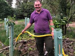 Frank Verdonschot van Staatsbosbeheer geeft de boompjes water (Foto: René van Hoof)