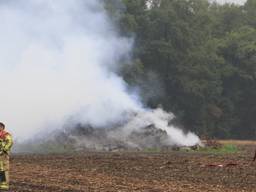 Ruiken de bewoners van Beek en Donk deze rook? (Foto: Venema Media)