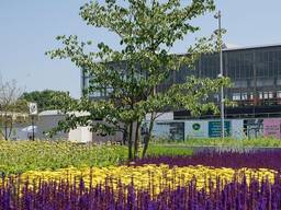 Tilburg trekt vier ton uit voor herstel groen in de stad. (Foto: gemeente Tilburg)