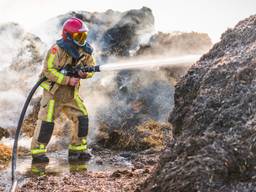 Het is extra zwaar in de hitte. Foto: Sem van Rijssel / SQ Vision