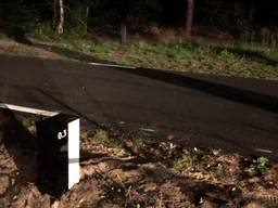 Geen verlichting op dit drukke fietspad, maar reflectorpaaltjes (Foto: Alice van der Plas)