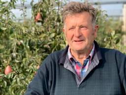 Cees Verkooijen (77) werkt keihard mee met de rest van de plukkers. (foto: Eva de Schipper)