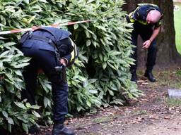 Bij een ruzie in het Wilhelminapark in Tilburg raakten twee personen gewond. (foto: archief)