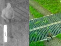 De man en het gedumpte geitje. (Foto's: Politie Boxtel)