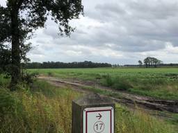 Hier, net over de Belgisch-Nederlandse grens wil Tanja van der Walle haar kalverhouderij beginnen. Links zijn nog net de gebouwen te zien van het door haar ouders opgerichte bedrijf.