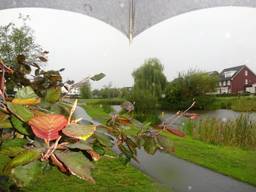 Het is een regenachtige maand. (Foto: Joop van der Kaa)