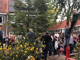 De nieuwe bevrijdingsboom in Eindhoven. (Foto: Tonnie Vossen)