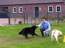 Harvy Schouten op de dierenvakantieboerderij.