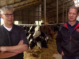 Bart Stokkermans en Frans Kennes willen gewoon blijven boeren in Oisterwijk. (Foto: Jan Waalen)
