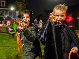 In Nuenen gingen veel kinderen verkleed langs de deuren voor Halloween. (Foto: Sem van Rijssel/SQ Vision)