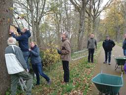 Bewoners hangen de mezenkastjes op (foto: gemeente Roosendaal).