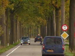 De N395 (foto: Omroep Brabant).