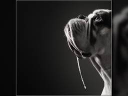 Foto: Annelies Roskam