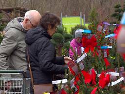 Drukte bij de Intratuin in Nuenen. (foto: Omroep Brabant)