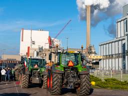 Grote hoeveelheid boeren bij de Amercentrale in Geertruidenberg. (foto: Marcel van Dorst)