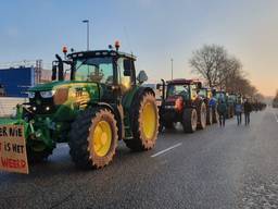 Boeren op het industrieterrein van Moerdijk. (Foto: Collin Beijk)