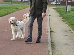 De mans overvallen terwjil hij zijn hond uitliet (archieffoto: Karin Kamp).