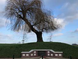 Monument Kapelsche Veer en 'de boom die alles zag' (foto: Willem-Jan Joachems)