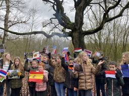 Heksenboom van Kaat mogelijk mooiste van Europa