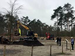 De nieuwe scheidingsbeuk in het Mastbos in Breda is geplant. (foto: Raoul Cartens)