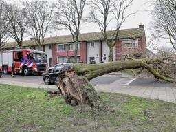 Stormschade