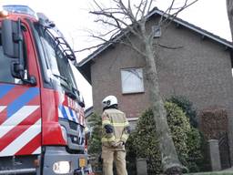 In Zeeland waaide een boom zondag tegen een woning aan. Foto: AS Media