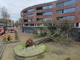 Boom valt op pand De Ridderhof in Oss