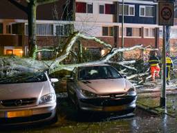 Beelden van storm Ciara in Brabant.