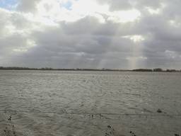 Mega overstroming in de Biesbosch door combinatie van storm en hoogwater