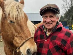 Boer Sjef zwoegt nog regelmatig met paard en ploeg op zijn akker: 'Je ziet het niet vaak meer'
