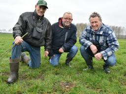 De drie vinders van het eerste kievitsei in Brabant (foto: Jochem Sloothaak, Brabants Landschap).