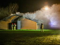 Foto: Pim Verkoelen/SQ Vision