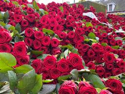 https://api.omroepbrabant.nl/img/f/$width$/$height$/0.5/0.5/bWVkaWEvcHJvZC8zMTc0NDU5LmpwZz9zdj0yMDE5LTA3LTA3JnN0PTIwMjAtMDEtMDFUMDAlM0EwMCUzQTAwWiZzZT0yMDQwLTAxLTAxVDAwJTNBMDAlM0EwMFomc3I9YiZzcD1yJnNpZz1TVEdHb2lHcUVuYUltJTJGR0dhWE1kd21hRGZKV05xSkVhZzdzZiUyQkNDV2VtTSUzRA==