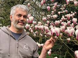 Peter Blommerde bij een magnolia. (Foto: Erik Peeters)