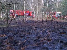 Ongeveer een halve hectare stond in brand. (Foto: SQ Vision mediaproducties)
