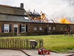 Foto: Jack Brekelmans, SQ Vision.