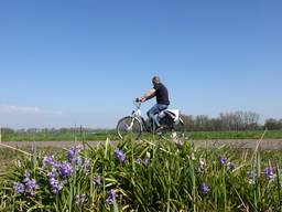 Weer een warmterecord verbroken (foto: Ben Saanen).