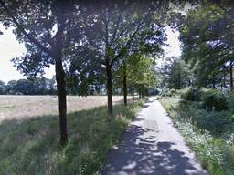 Het dier werd gevonden door een wandelend gezin bij landgoed Tongelaar in Mill (foto: Google Streetview).