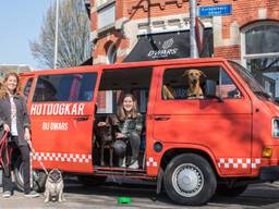 Ruby en Dieuwertje met hun hondenuitlaatservice (foto: Malou Franken).