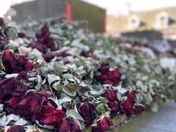 Bloemen voor de coronadoden in Erp (archieffoto).