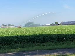 Beregenen mag weer (foto: Hans Janssen).