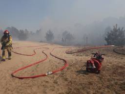 Flinke heidebrand in een natuurgebied bij Son