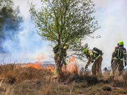 De brand woedt op moeilijk begaanbare veengrond. Foto: Pim Verkoelen - SQ Mediavision Produkties