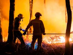 Brandweerlieden aan het werk in de Peel.